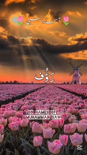 100K views · 21K reactions | The history of #photography began with...