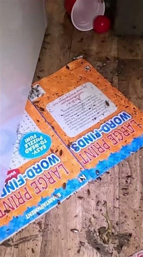 This Cockroach Infestation is Out of Control #shorts #pest #help