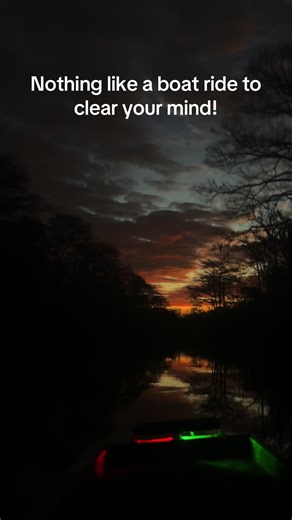 Duckman Taxidermy (@duckman985)’s videos with Somewhere in the Woods - marzz