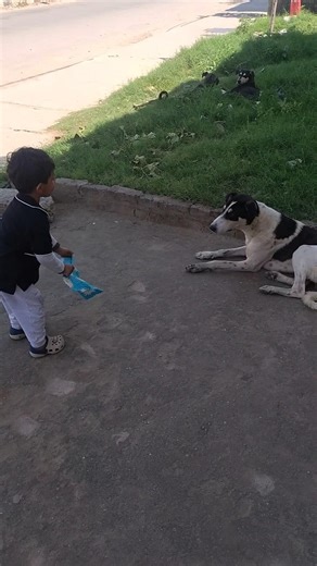 #song #automobile #viral #trending #funny #cute##dog #pets #shorts #anime #reels #jcb #carhop