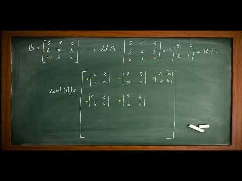 finding the inverse matrix (3by3 matrix) cofactor method