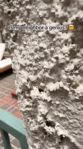 Is my neighbor a genius? 🤯 #DIY #funnyvideos #viral
