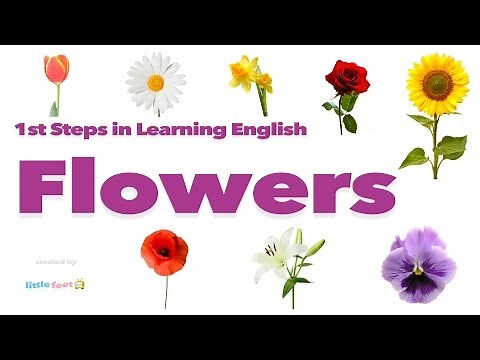 Pronounce FLOWERS in British English | Vocabulary with Pictures