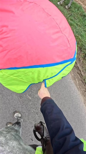 The hack where everyone had tack malfunctions 😂 #horse #equestrian | Laura Robson equestrian