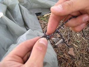 How to tie the Rolling Hitch knot (aka Taught Line Hitch)
