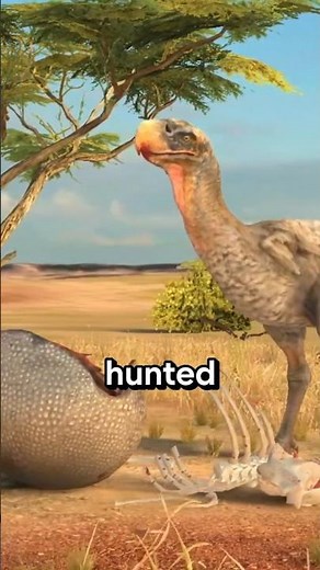 Terror Birds: Prehistoric Killers!