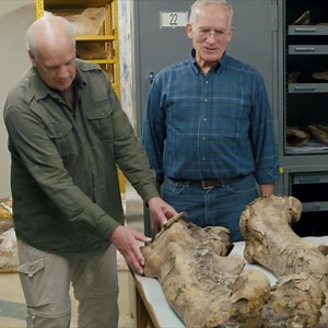 351 reactions · 166 shares | If you're a Christian who wants to...