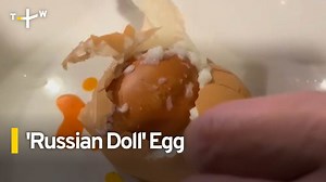 3.1K views · 51 reactions | Nest egg. An egg with two yolks is a rare find, but even rarer is an egg within another egg. A restaurant owner in Taiwan stumbled upon such a double egg like a Russian nesting doll. | TaiwanPlus News | Facebook