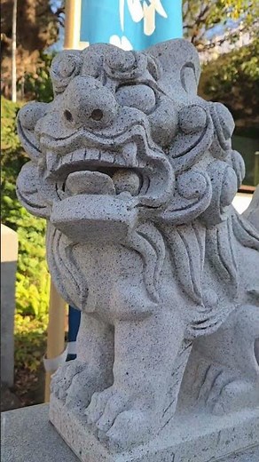 長崎市坂本町(山王日吉神社)！福山雅治さん(クスノキ…500年(被曝クスノキ)❗