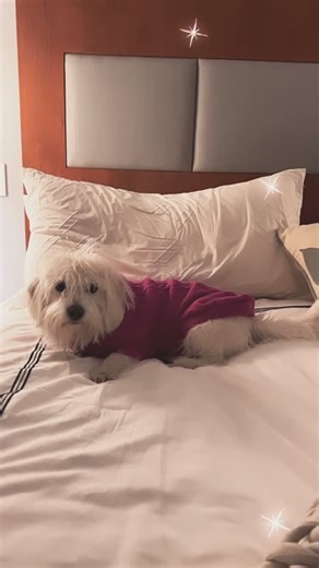 Sarah Rafferty on Instagram