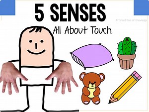 Let’s Learn All About The 5 Senses - Touch