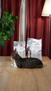 By choosing Almo Nature you directly contribute to projects that protect the Planet! 🌎 Almo Natural Cat Litter is 100% plant-based, biodegradable, long-lasting and offers exceptional odour-absorption. Stock up today and save $5 on all large bags of cat litter until July 12. Shop these pawsome savings at https://www.renspets.com/products/almo-nature-clumping-litter?sku=124082 🔗 | REN'S PETS