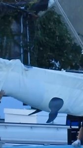 2.3K views · 63 reactions | A life stolen. A light extinguished. A...