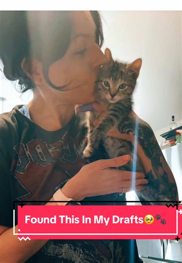 This has been sitting in my drafts for almost a year and I cannot believe how tiny they were 🥹 Not sure why I never shared it, but they’ve grown so much and this moment was too sweet to keep to myself 🐾💕 #catsoftiktiok #kittensoftiktok #blindcatmom #drafts #authenticallyamber