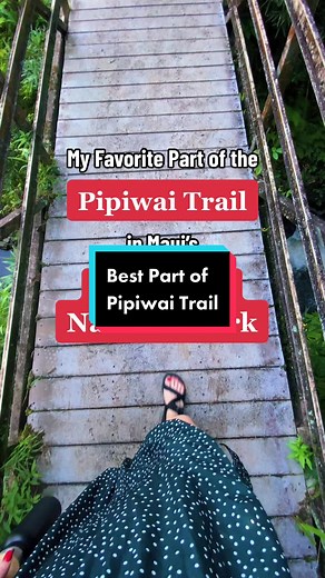 Bamboo Forest Adventure on Pipiwai Trail