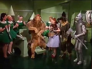 Wizard of Oz Wash and Brush