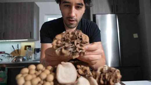 How to cook perfect chicken wings like a chef