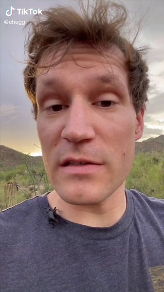 Understanding Codons in Biology