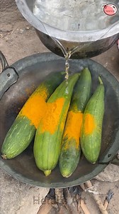 Sponge Gourd Soup | Hetal's Art