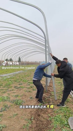 Everything You Need to Know About Tunnel Greenhouses