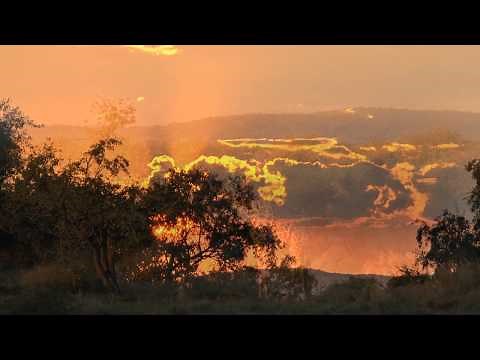 Hunting Eland, Kudu and Warthog in Namibia - Preview (Hunting Video)