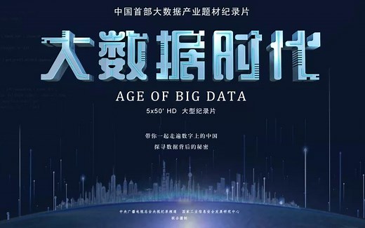 【央视大数据产业题材纪录片】大数据时代 全5集及宣传片 【央视解读互联网社会的大型纪录片】互联网时代 全10集(2014.8.25)