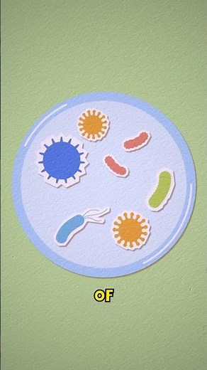 Unlock your immune system with probiotics #probiotics #immunehealth