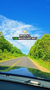 78K views · 1.6K reactions | Hiccups... #lol #itsajokerelax #justforlaughs #fyp #jokes #hilarious #funnyreels #fb #stories #haha #dailyjokes #funny #lmao #comedy #DailyLaughs | Sunset Heaven | Facebook