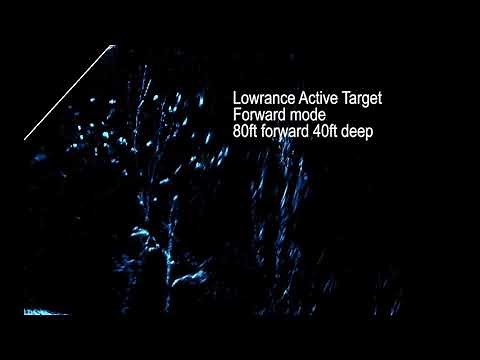 Lowrance Active target in forward mode