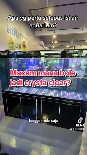 Cara Setup Akuarium Baru untuk Arwana | Penambahan Perlindungan dan Pengawetan