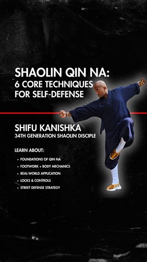 🚨 NEW ZOOM SEMINAR — SHAOLIN QIN NA FOR STREET DEFENSE Real-world joint locks, control techniques & combatives, taught by a true Shaolin master. Learn directly from Shifu Kanishka (Shi Yanyou), 34th Gen Shaolin disciple and the first Indian trained at the Shaolin Temple China, where he was honored with the Excellence in Teaching Award for 20 years of contribution to martial arts education. 🧠 In this 2-hour Zoom seminar, you’ll learn: ✅ Foundational Qin Na footwork & body mechanics ✅ 6 powerful