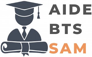 Présentation du BTS SAM (qualités, matières, horaires, débouchés...)
