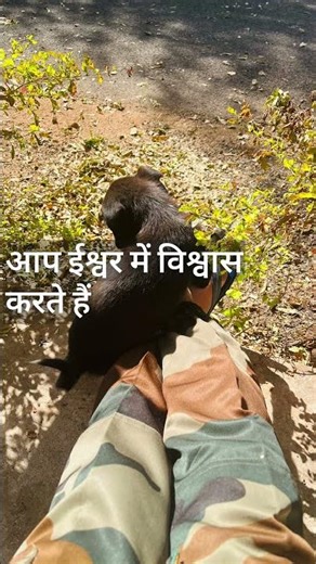 osho |osho motivational video #youtube #shortsfeed @OSHO #motivationalvideo @MrBeast