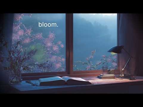 bloom. | Spring Forest Morning Ambience for Focus & Study