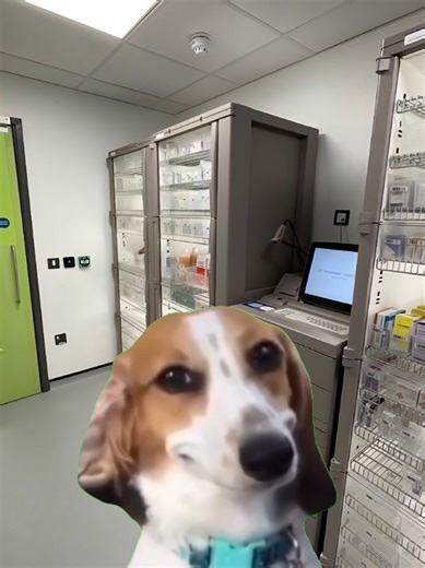 Humorous Nurse Moments in the Med Room