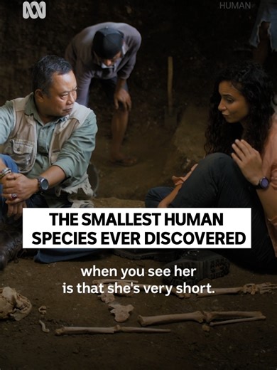 Exploring Homo Floresiensis: The Real-Life Hobbits