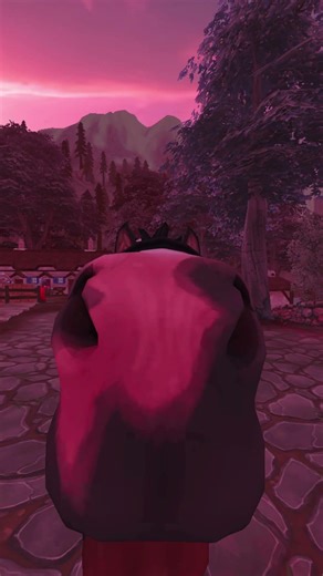 with @galopenrose #starstable #horses #mule