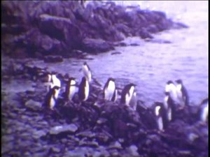 Deep Freeze 1977 Part 2