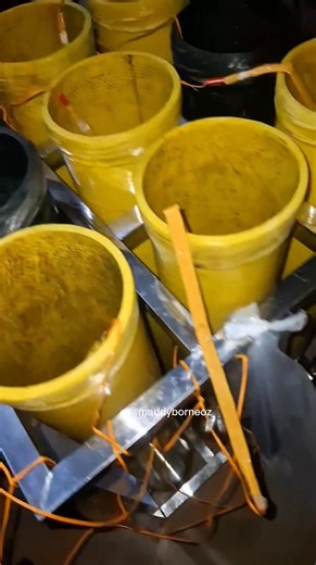 Agi bedau abis video ka upload 🤪. Gilbert Immanuel Andrew busy masang fuse kena byambut taun 2026. Taja ujan bungkus ngena plastik ga. Semua mehecun nya on ngena remote control magang... lama ia udah meli remote nya. Time mayuh enggau aku sekali ajar ia nyambung fuse ambi jampat pengawa...baka maya gawai, kadang ari lemai udah start pengawa kamiduai nyambung semua "buah kelapa" nya. Aku tak seram megai . Malam nya kenduai nucur 3inci, 4inci enggau 5inci...6inci nda asuh ku tucur. Aku ke seram �