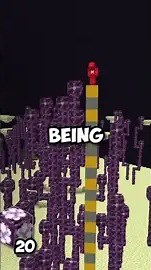 Biggest Minecraft plant revealed!