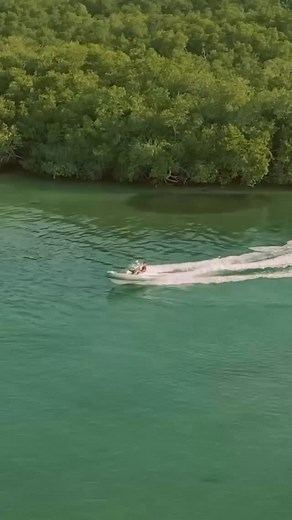 15 reactions | Discover everything that makes the ABJET 390 XP a true masterpiece on the water. Every detail has been crafted to deliver a superior experience | AB INFLATABLES | Facebook