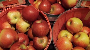 907 reactions · 99 shares | Fall flavors, colorful hikes, time to slow down together, these are the moments that matter. | Destination Door County | Facebook