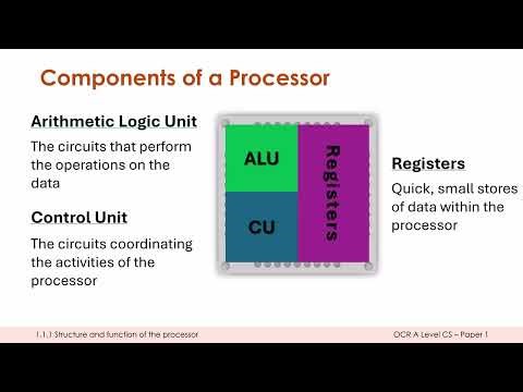 Components of Processors
