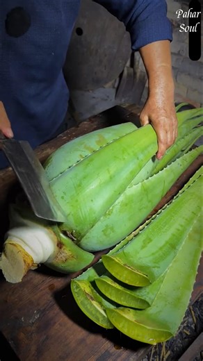 🌿 বাড়িতেই ১০০% খাঁটি এলোভেরা জেল বানাবেন কীভাবে? #shorts
