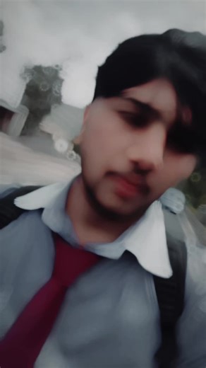 Punjab college wala on TikTok