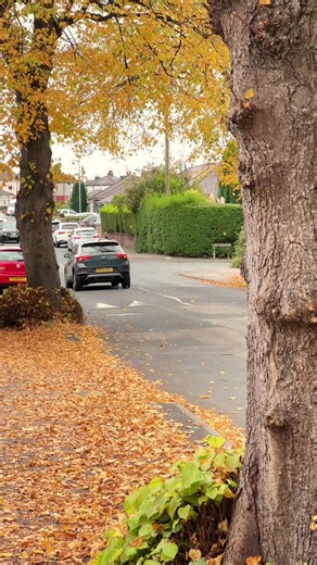 October Autumn Vibes in London, United Kingdom