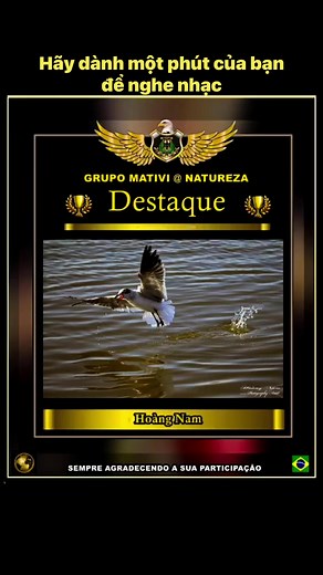 #bolero#hoangnam#duongphoTexas@người theo dõi@nêu bật | Hoàng Nam