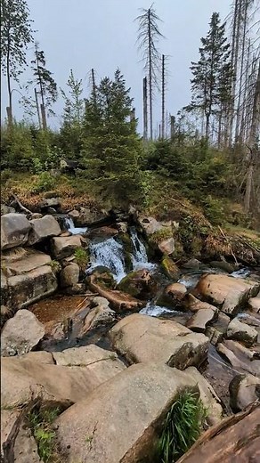 Harz - Oberer Bodewasserfall #wandern #waterfall