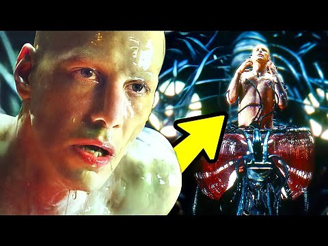 The Human Pods Where People are Grown | MATRIX EXPLAINED