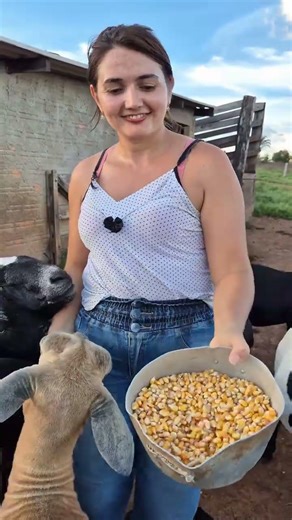 Beautiful Farm Girl Feeding Hungry Goats | Cute Goat Feeding Moment 🐐🌾 #villagelife